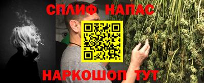 индика Тверь