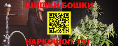 индика Тверь