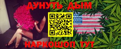 индика Тверь