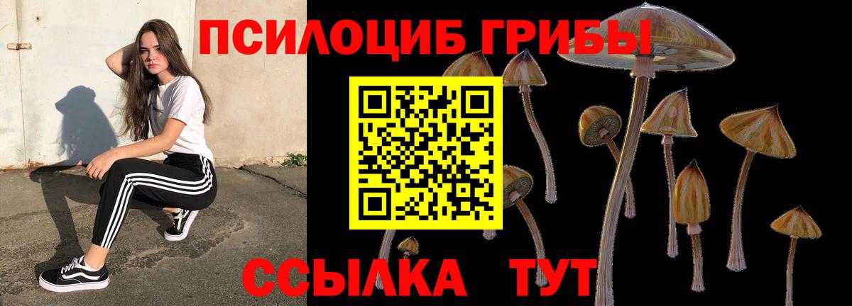 Галлюциногенные грибы Psilocybe Рыбинск